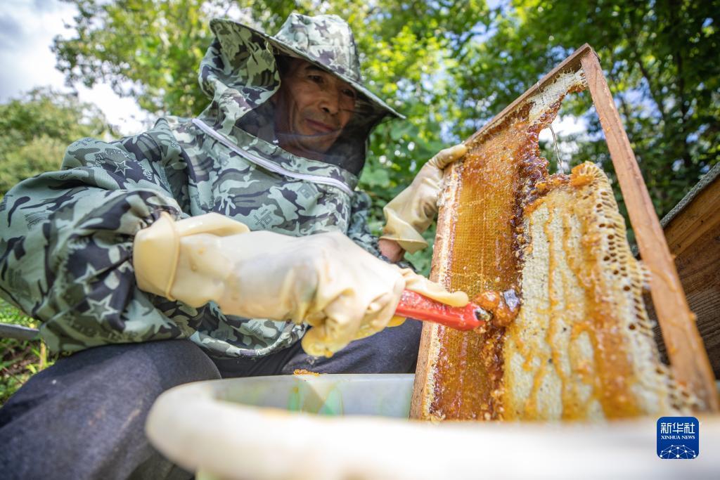 约局麻将下载